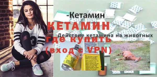 трава Магас