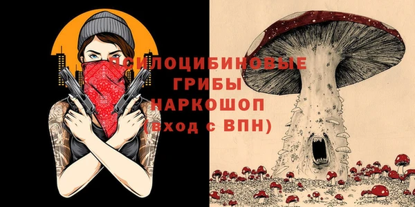 mdpv Лихославль