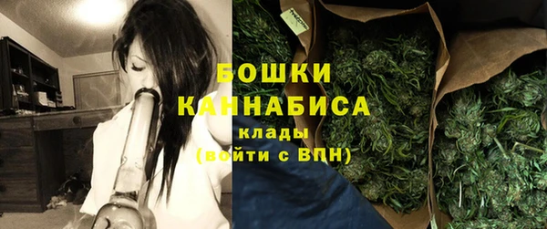 трава Магас