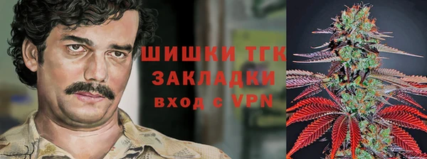 стафф Магадан