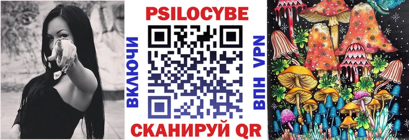 мега как войти  Гаджиево  Псилоцибиновые грибы Magic Shrooms 