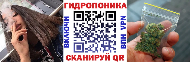 Шишки марихуана Amnesia  где продают   мега сайт  Гаджиево 
